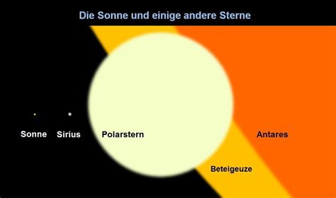 Größenvergleich Puma zu anderen Marken 